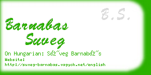 barnabas suveg business card